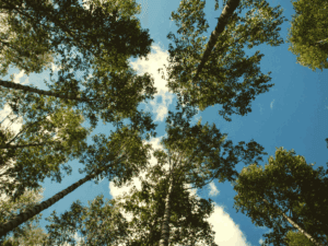 copy-of-yhteinenliike-2