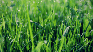 copy-of-ovos-kevatnaytos-2018-2-1