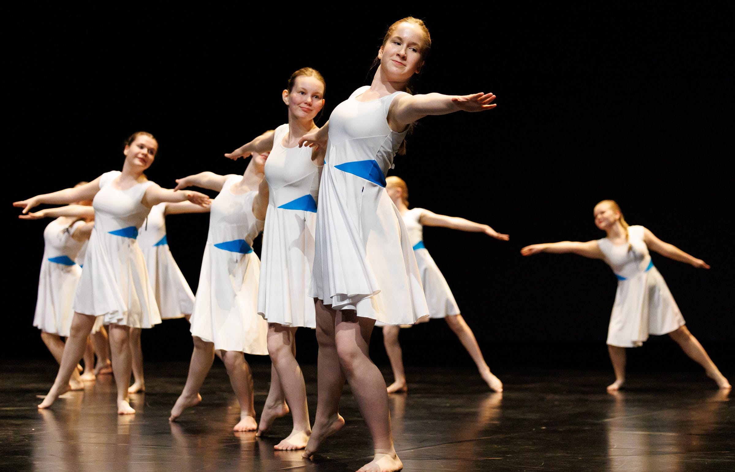 kanerva-paivaunelmia